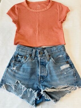 Levi's Distressed Light Blue Denim Jean Shorts and AE Ribbed Tshirt